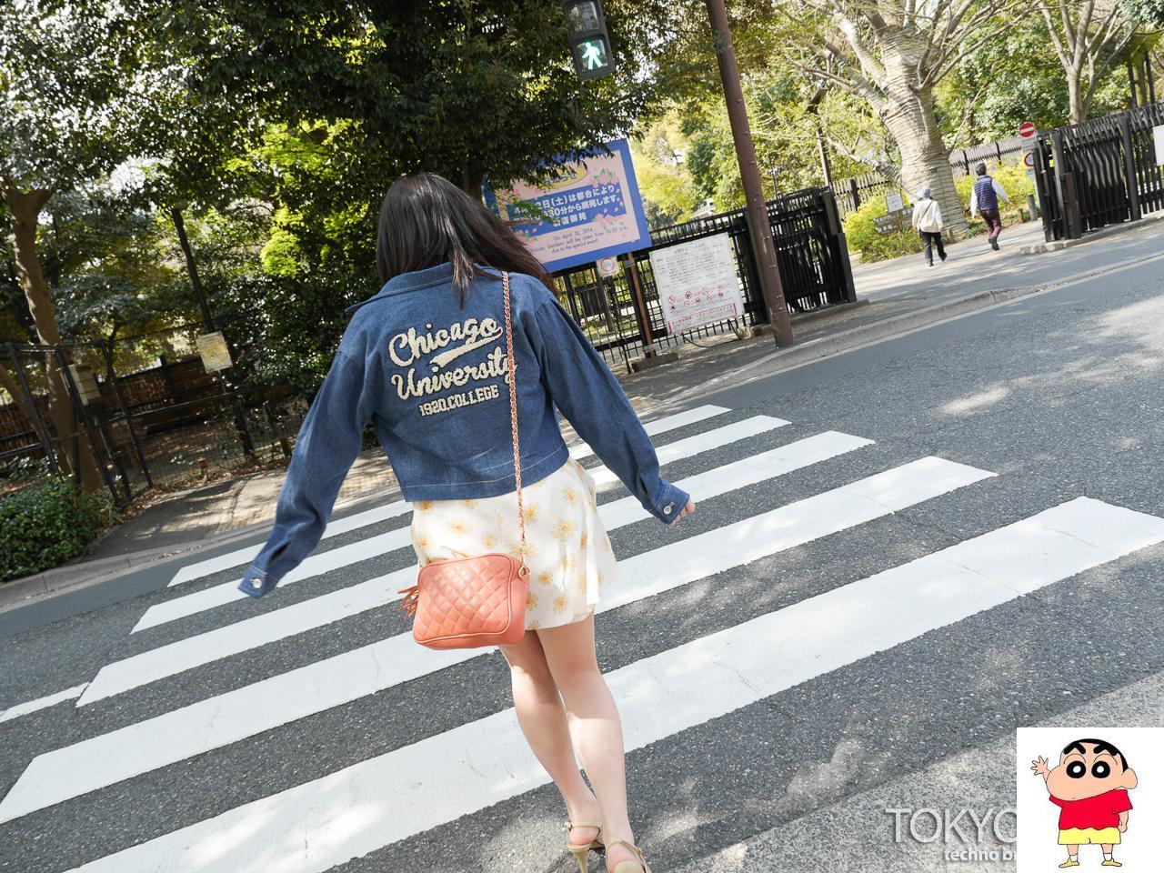 [Maxi-247] 桜咲ひ