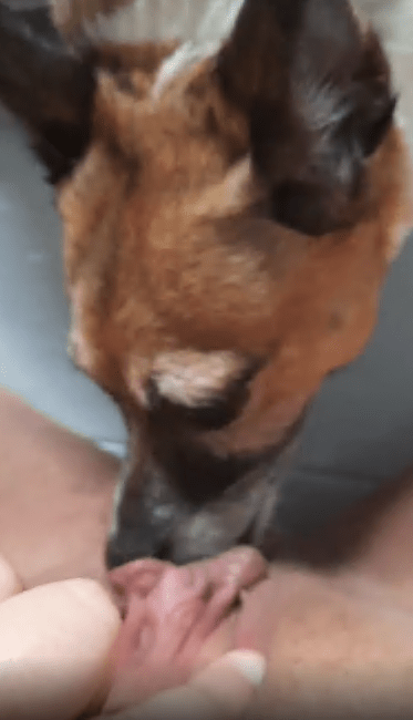 兴奋的女人享受着她两腿之间的小狗