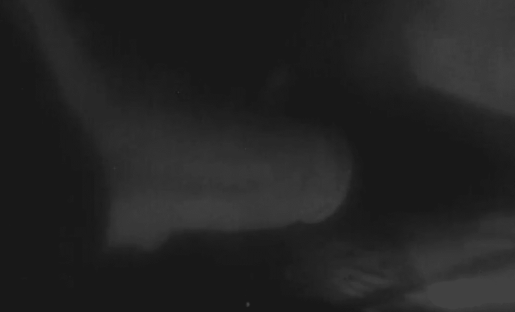 深夜恋兽癖显示淫荡的女人吸吮狗鸡巴