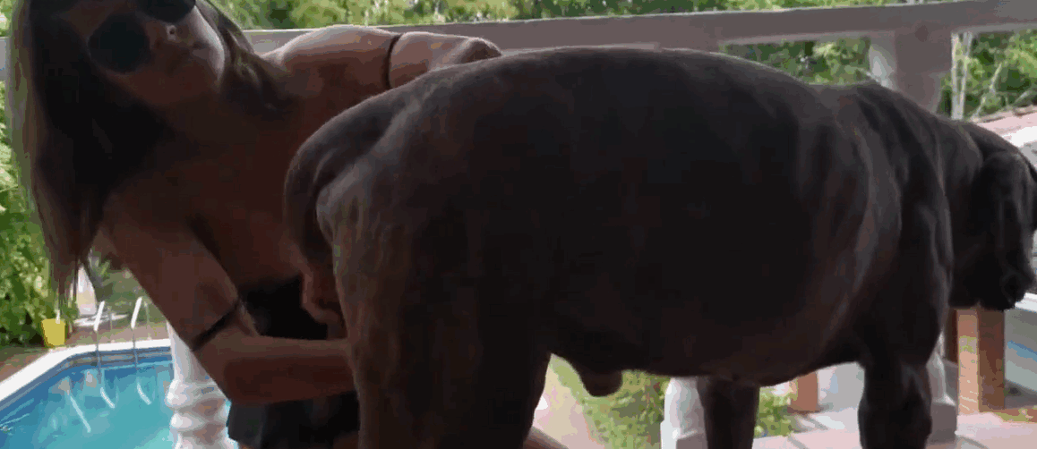 美女在阴影中与狗鸡巴做爱