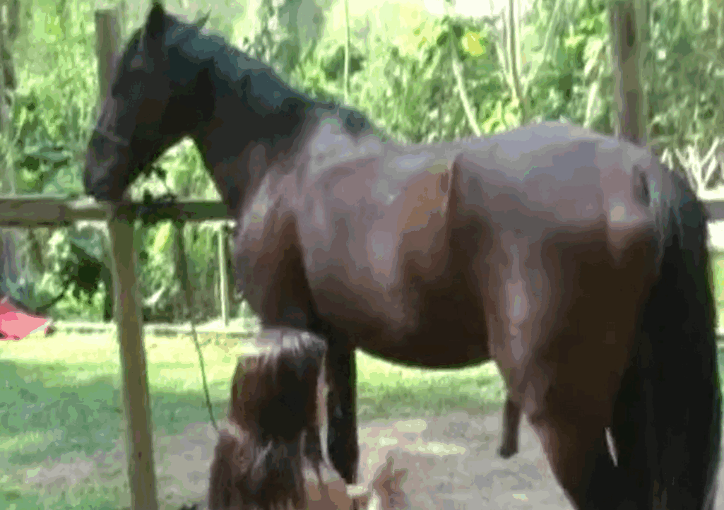 绚丽苗条的妓女被种马精液射精