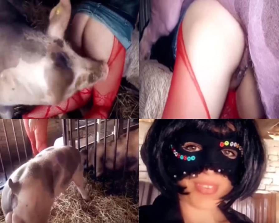 稀缺重磅资源流出疯狂的少妇被猪内射